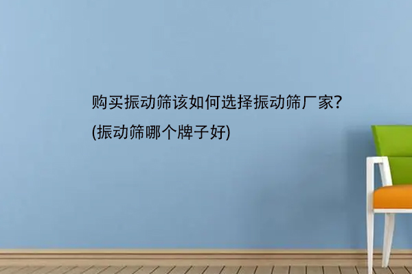 購買振動篩該如何選擇振動篩廠家？(振動篩哪個牌子好)